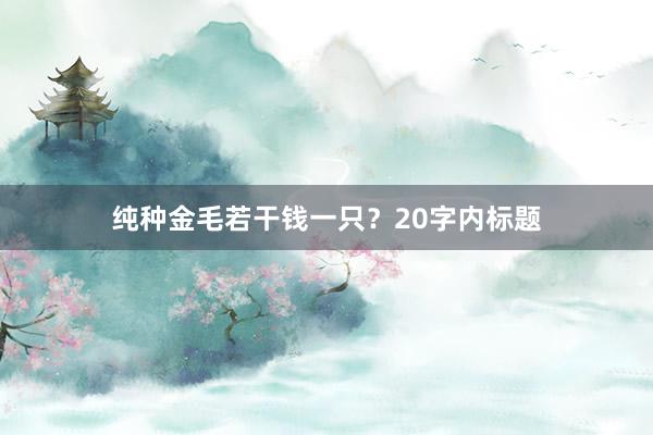纯种金毛若干钱一只？20字内标题