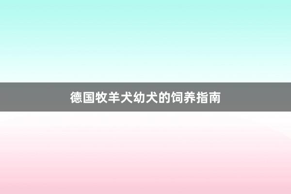德国牧羊犬幼犬的饲养指南