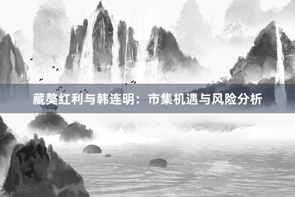 藏獒红利与韩连明：市集机遇与风险分析